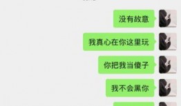 六哥聊天记录爆料最新,揭秘娱乐圈最新动态与幕后真相