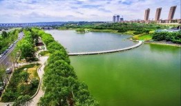 西安最新楼盘爆料,揭秘最新爆款楼盘，投资与自住两相宜